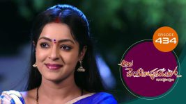 Ala Venkatapuram Lo S01 E434 28th June 2022