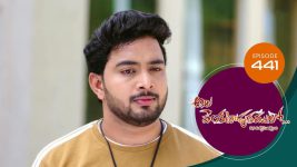 Ala Venkatapuram Lo S01 E441 6th July 2022