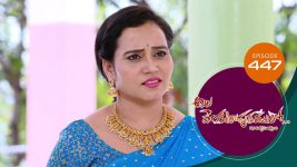 Ala Venkatapuram Lo S01 E447 13th July 2022