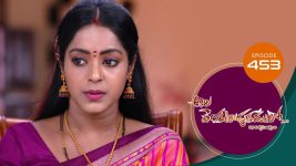 Ala Venkatapuram Lo S01 E453 20th July 2022