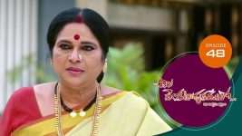 Ala Venkatapuram Lo S01 E48 3rd April 2021