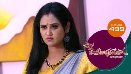 Ala Venkatapuram Lo S01 E499 12th September 2022