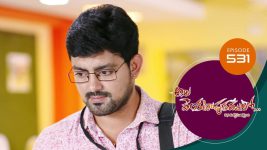 Ala Venkatapuram Lo S01 E531 19th October 2022