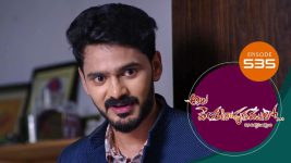 Ala Venkatapuram Lo S01 E535 24th October 2022