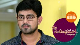 Ala Venkatapuram Lo S01 E539 28th October 2022