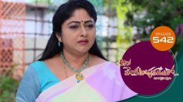 Ala Venkatapuram Lo S01 E542 1st November 2022