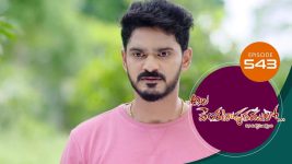 Ala Venkatapuram Lo S01 E543 2nd November 2022