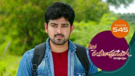 Ala Venkatapuram Lo S01 E545 4th November 2022