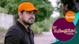 Ala Venkatapuram Lo S01 E548 8th November 2022