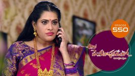 Ala Venkatapuram Lo S01 E550 10th November 2022