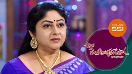 Ala Venkatapuram Lo S01 E551 11th November 2022