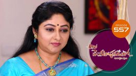 Ala Venkatapuram Lo S01 E557 18th November 2022