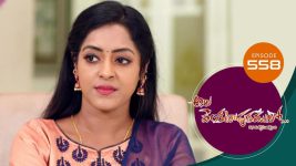 Ala Venkatapuram Lo S01 E558 19th November 2022