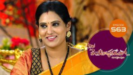 Ala Venkatapuram Lo S01 E563 25th November 2022