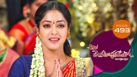 Ala Venkatapuram Lo S01 E804 5th September 2022