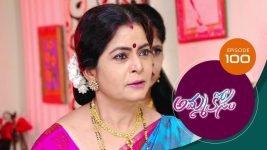 Ammakosam S01E100 29th December 2020 Full Episode