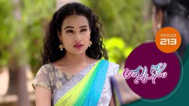 Ammakosam S01E213 13th May 2021 Full Episode