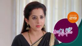 Ammakosam S01E219 21st May 2021 Full Episode