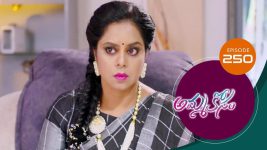 Ammakosam S01E250 5th July 2021 Full Episode