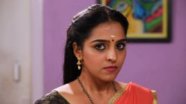 Amman S01E242 23rd November 2020 Full Episode