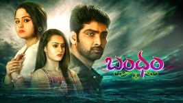 Bandham S01E131 14th January 2019 Full Episode