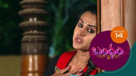 Bandham S01E14 2nd August 2018 Full Episode