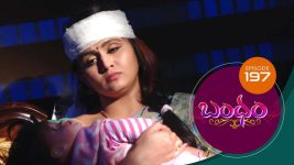 Bandham S01E197 17th April 2019 Full Episode