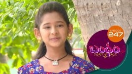 Bandham S01E247 26th June 2019 Full Episode