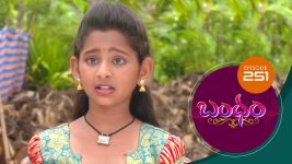 Bandham S01E251 2nd July 2019 Full Episode