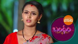 Bandham S01E256 9th July 2019 Full Episode