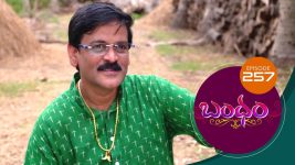 Bandham S01E257 10th July 2019 Full Episode