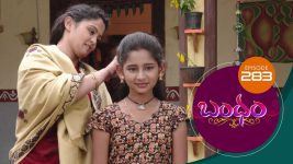 Bandham S01E283 15th August 2019 Full Episode