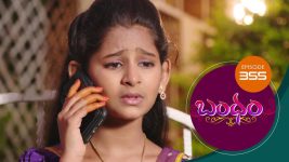 Bandham S01E355 13th November 2019 Full Episode