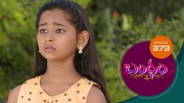 Bandham S01E373 4th December 2019 Full Episode