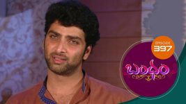 Bandham S01E397 1st January 2020 Full Episode