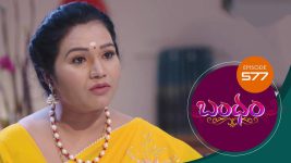 Bandham S01E577 10th November 2020 Full Episode