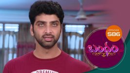 Bandham S01E586 21st November 2020 Full Episode