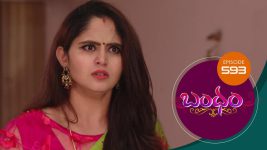 Bandham S01E593 30th November 2020 Full Episode