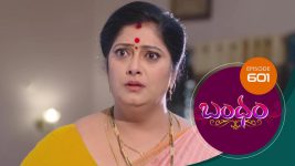 Bandham S01E601 9th December 2020 Full Episode