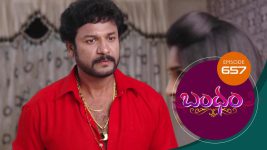 Bandham S01E657 12th February 2021 Full Episode