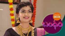 Bandham S01E803 2nd August 2021 Full Episode