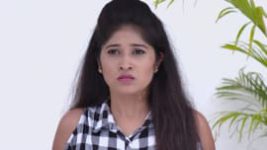 Bangaru Gajulu S01E157 21st August 2019 Full Episode