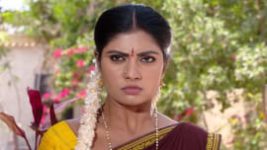 Bangaru Gajulu S01E36 2nd April 2019 Full Episode