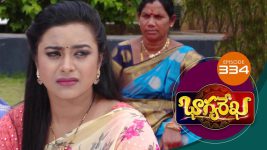 Bhagyarekha S01E334 24th November 2020 Full Episode