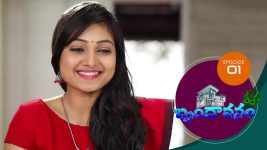 Brundavanam S01E01 22nd June 2020 Full Episode