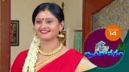 Brundavanam S01E14 9th July 2020 Full Episode