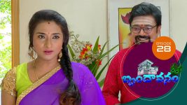 Brundavanam S01E28 29th July 2020 Full Episode