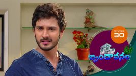 Brundavanam S01E30 31st July 2020 Full Episode