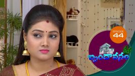 Brundavanam S01E44 20th August 2020 Full Episode