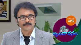 Brundavanam S01E45 21st August 2020 Full Episode